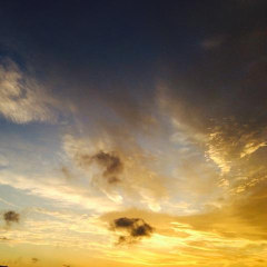 自分の好きな話をする