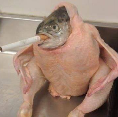 土曜のとうふのトーク