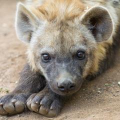 くるっち0131☆のトーク