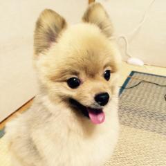 Kenta