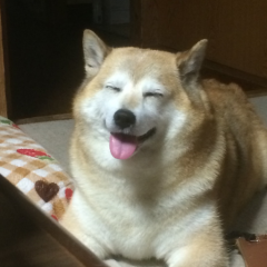 ポンタのトーク