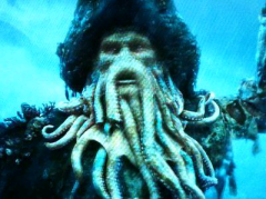 タコ船長のトーク