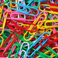 安田君&柏木由紀