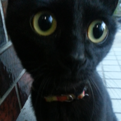 バナバナ