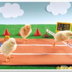 陸上大好き❗️