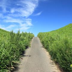 カントリーロード