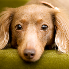 こんな俺としゃべってくれる人いませんか、男女問わず！