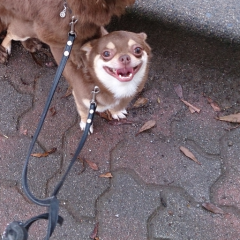 みんなで楽しくお話をしましょ