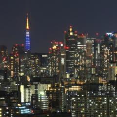 東京の人〜(٥౪٥)ﾉ(避難所