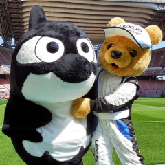 ﾖﾁｱｷʕ•͡ᴥ•ʔ