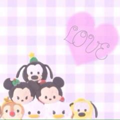 カッキー((o(´∀｀)o))