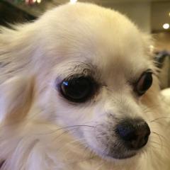 まっちゃんのトーク