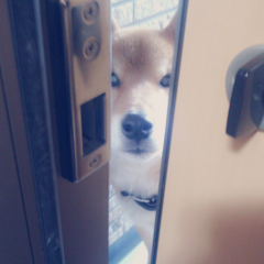 振られた話聞いてくれる人きてください！