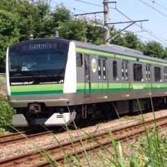 ハマセンのカピ いきもの好き