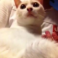 通話で寝かせてくれる優しい女性居たらいいな