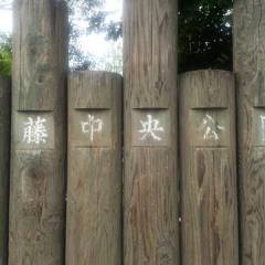 ドンとこい‼︎