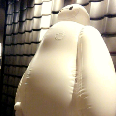 茨城の人ー！