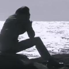 たきジョイ