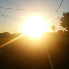 早く起きた朝は