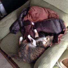 うたかのトーク