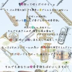 吹奏楽部の人〜(๑°ㅁ°๑)‼✧