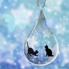 あやかのトーク