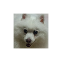 良太郎ママ