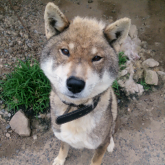 動物大好き!!