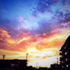 誠ちゃんのトーク