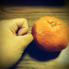 🐼ゆいこん🐼