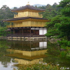 ハヤブサバード