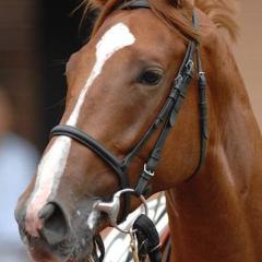 はやとのトーク