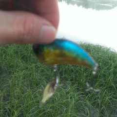 バス釣りトーク