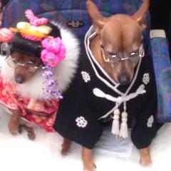 宮城県人いますか？