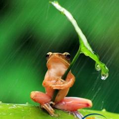 ライダーのトーク