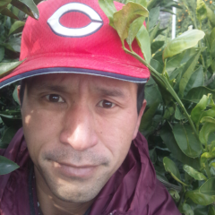 たがわっしょい