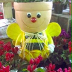 50歳ー60歳で沖縄三線好きな人