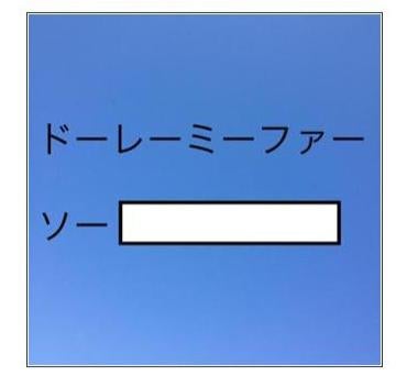 投稿画像