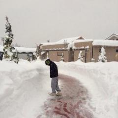 たらこすぱ@師走