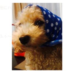 莉菜♪( ´▽｀)のトーク