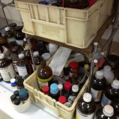 蛍の発光に興味ある人いる？