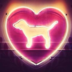 ♛きょーか➵Dir&mahomie♛