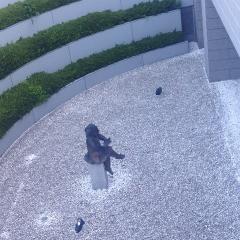 かっしーのトーク