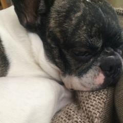 ✨ゅぅです！✨