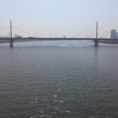 ヒロキング＆ムシキング