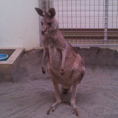 アラフォー集まれ♪