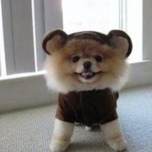 田村義幸のトーク