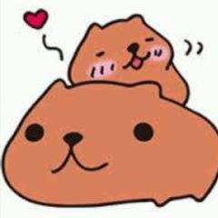 ケェーシィー:パタカピ