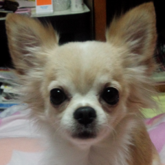 ♡KaNa♡のトーク