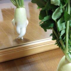 みやかんのトーク